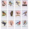 High Quality Small Bird Desk Calendar 2025 for Standing -