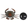 Funny High Simulation Remote Control Infrared Animal Crab Kid Trick