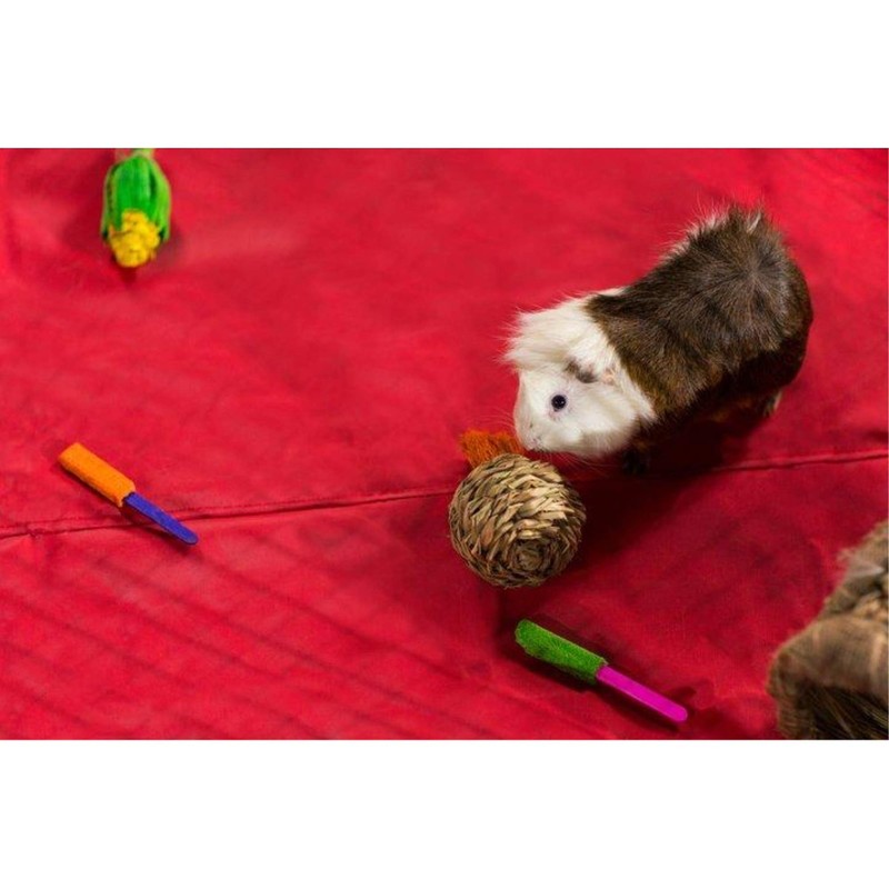 Prevue Pet Products Grassy Nibblers Squash Small Animal Chew Toy