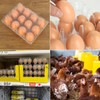 Plastic Egg Cartons Bulk, 40 Packs Empty Clear Plastic Egg