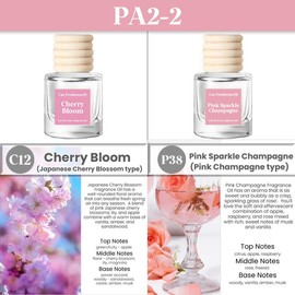 2 Pack Pick 80+Scents Car Air Freshener Hanging Car Diffuser Made in USA Last for 120 Days:_C11-Desert Blossom(Cactus Blossom type)