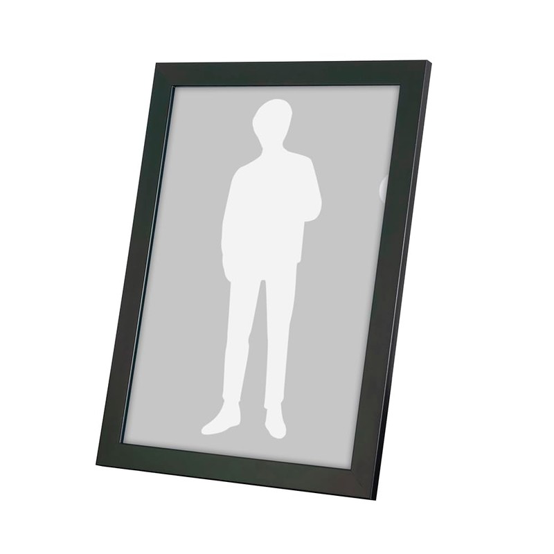 Nakabayashi F-TP-119-D Clear Holder Perfect Frame, Black