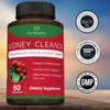 Sunergetic Premium Kidney Cleanse Supplement – Powerful Kidney Support Formula