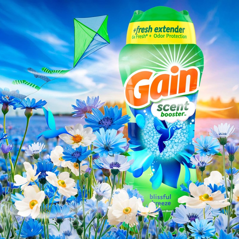 Gain In-Wash Laundry Scent Booster, Blissful Breeze Scent, 24.0 OZ,