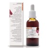 Eriksor. Suspensión. Extracto de Equinácea, frasco con 50 ml, con