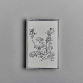 Fresques Sur Les Parois Secretes Du Crane