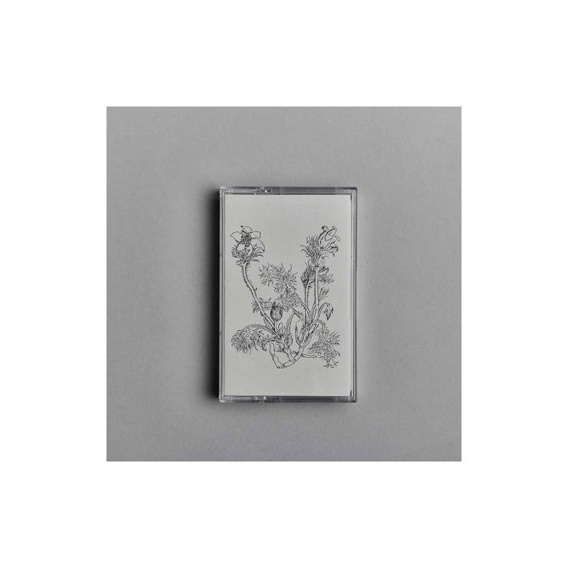 Fresques Sur Les Parois Secretes Du Crane