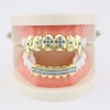 18K Gold Plated Hip Hop Grillz CZ Top and Bottom
