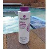 SpaGuard Spa Calcium Hardness Increaser - 12 Ounce