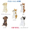 Figure Salute Puppy Box 1 Piece