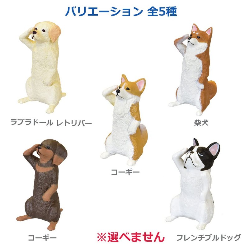 Figure Salute Puppy Box 1 Piece