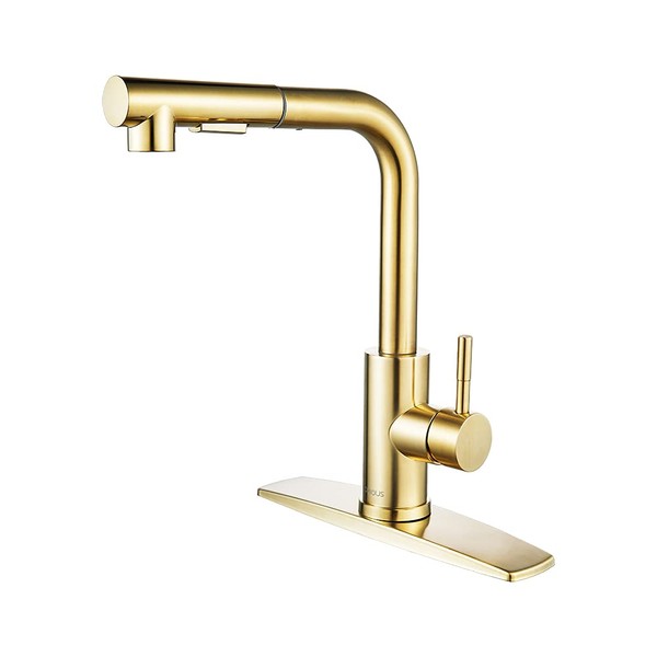 FORIOUS Gold Kitchen Faucets with Pull Down Sprayer, Single Handle Kitchen Sink Faucet with Pull Out Sprayer