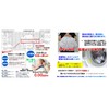 [100% Cotton] Moisture Wicking Side Mesh Waterproof Sheet Dehydrator Dryer