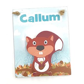 Callum Children's Magnetic mini Clip Board school reminders reminder on Fridge wall plaque with spring peg with Funny Faced Squirrel
