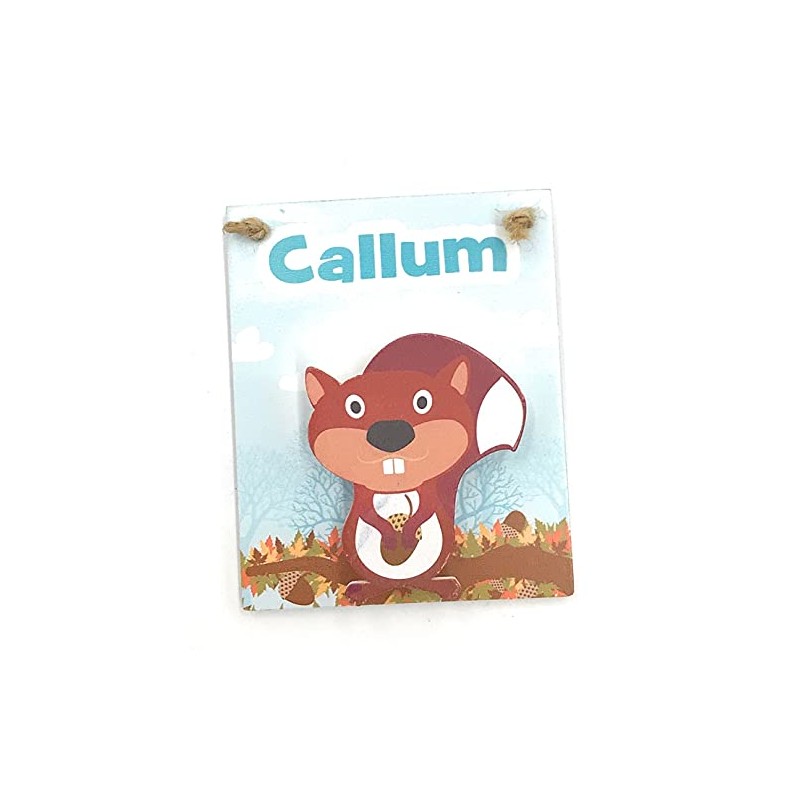 Callum Children's Magnetic mini Clip Board school reminders reminder on