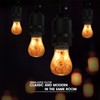 Himalayan Glow 60-Watt Salt Light Bulb - 1 Count, Dimmable,