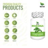 Moringa, 300 Cpsulas (3 Frascos 100 Cap Cu) Sabor Natural