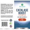 Best Earth Naturals Catalase Formula Shampoo to Support Hair Vitality