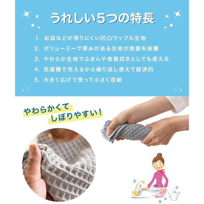 Teijin 2 Piece Dish Drying Mat (15.7 x 17.7 inches