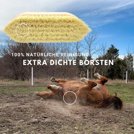 HORSEANDANGELS Horse Brush – Dust Brush Horse – Fur Brush Horse for Cleanliness and Shine, Belongs to Cleaning Tool for Horses