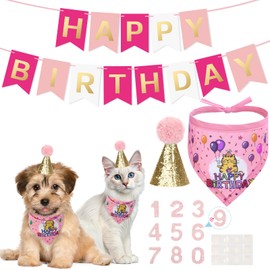 EXPAWLORER Cat Birthday Party Supplies,Cat Birthday Hat with Bandana Triangle Scarf Dog Birthday Decorations with Birthday Number for Puppy Kitten Birthday Outfits Pink
