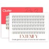 EXTENIFY 10mm Individual Lashes C Curl 10D Cluster Lashes 120pcs