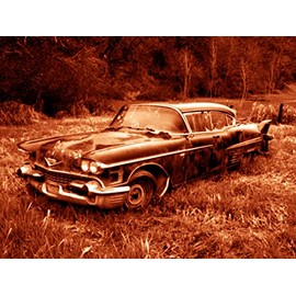 Abandoned Junk Cars Poster #7 - Canvas Art Poster 18" x 24" (Canvas, 18" x 24")
