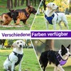 Dog Harness for Small, Medium, Large Dogs and Puppies, Multi-Purpose