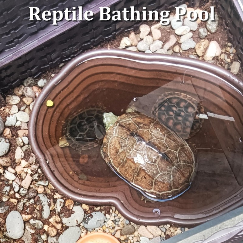 Apatal Reptile Bathing Pool 7 Pcs Tortoise Water Dish with