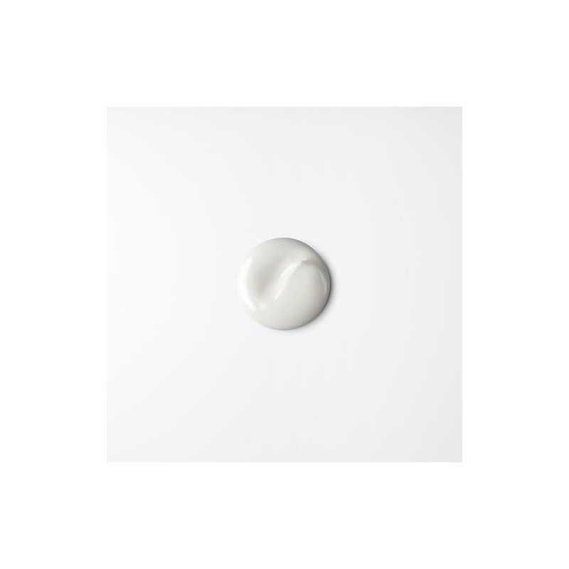Shu Uemura Flexible Fixing Cream Style 75 Ml