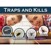 MaxGuard Silverfish + Insect Traps (12 pcs Box Trap) |