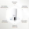 RENECELL [Rene Cell Miracle Calming Balm CB Cream, Tinted Moisturizer