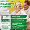 Genex Formulas Spermidine Supplement (60 Vegan Capsules)-10mg of Spermidine from