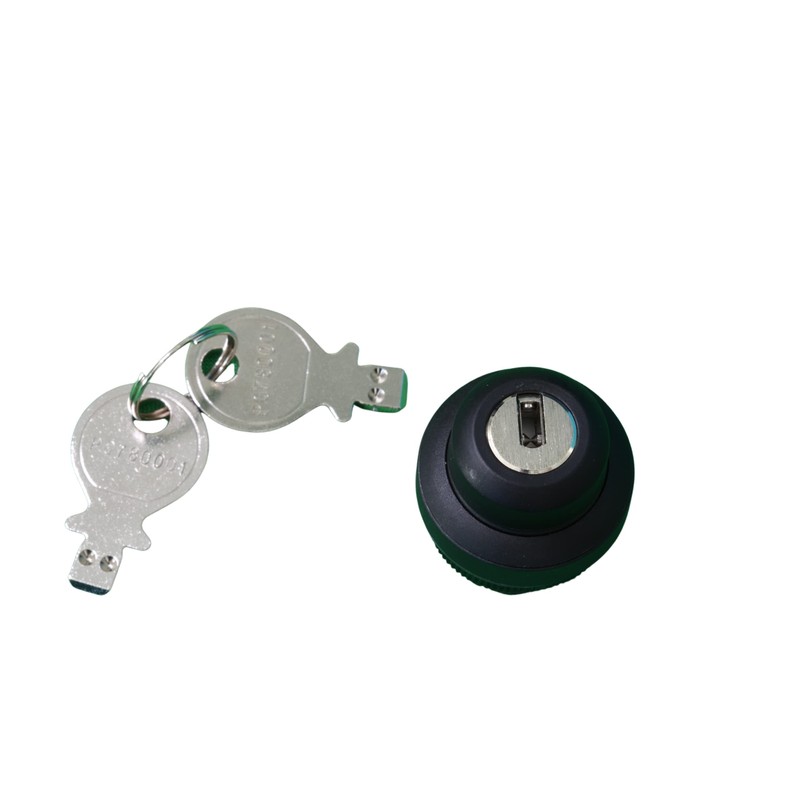 HEIDELBERG Key switch RAFI for locking the wallbox. Highest protection