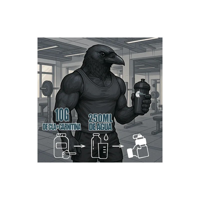Suplemento Cla + Carnitina Corvus 1kg Polvo Varios Sabores