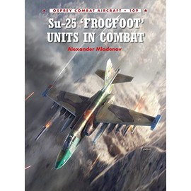 Su-25 'Frogfoot' Units In Combat: 109