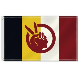 3×5 FT American Indian Movement Flag,Large Canada Indigenous Tribe Decor,Native Double Side Digital Printed 150D Polyester Banner With Canvas Header Brass Grommet For Outdoor Indoor Parade Car