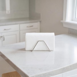 Rieoany Sponge Holder for Kitchen Sink with Two Nano-Sponges Stainless Steel Kitchen Sponge Holder Installation-Free Magnetic Design Sink Organiser Space-Saving Keep Neat and Tidy