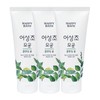 Happy Bath Happy Bath Happy Bath Houttuynia cordata Pore Cleansing Foam 200g x3 / 해피바스 해피바스 해피바스 어성초 모공 클렌징폼 200g x3
