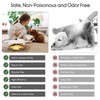 2 Pack Flea Traps for Inside Your Home, Indoor Flea