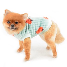 SMALLLEE_LUCKY_STORE Dog Fleece Jumpers for Small Dogs Cat, Pet Pullover Sweatshirt with Strawberry Print and D-ring, Puppy Vest Yorkie Chihuahua Warm Sweater Winter Fall Apparel, Green, S