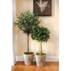 Nearly Natural 5960 4.5' Olive Topiary Tree with European Barrel