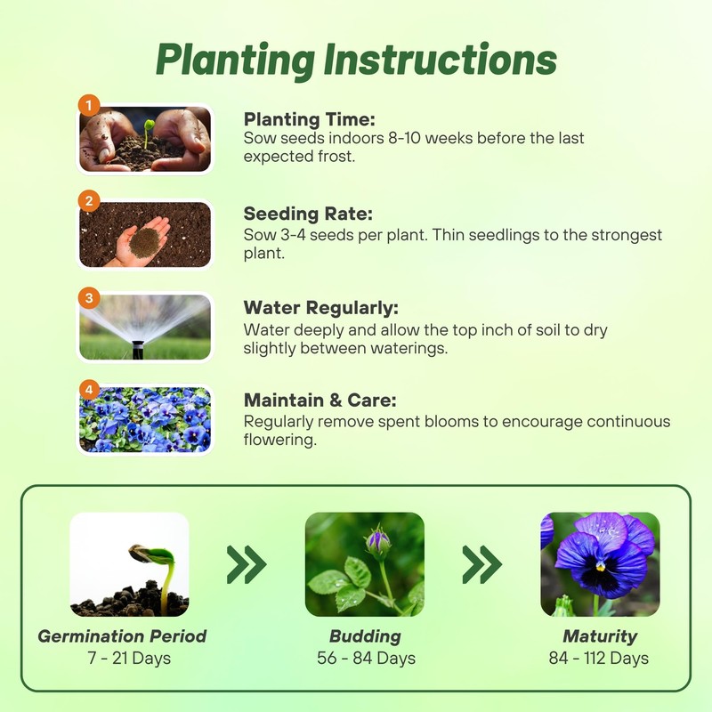 Outsidepride Blue Ullswater Viola Pansy Seeds for Planting - 1,000