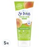 St. Ives Apricot Scrub, 5 pieces, 170g / 세인트이브스 살구 스크럽, 5개, 170g