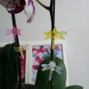 WINBST Plant Orchid Clips Dragonfly Orchid Clips Plant Clips Dragonfly
