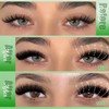 Lash Extension Kit, 30D 40D 50D 60D 80D 100D Lash