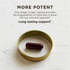 Solgar Full Spectrum Curcumin - 90 LiCaps - Superior Absorption