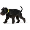 Hunter, Convenience Dog Collar, Made of Innovative Plastic Mix for