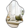 Tanmicoshomy Black Bathroom Mirror 24x36 Inch, Asymmetrical Framed Wall Mirrors