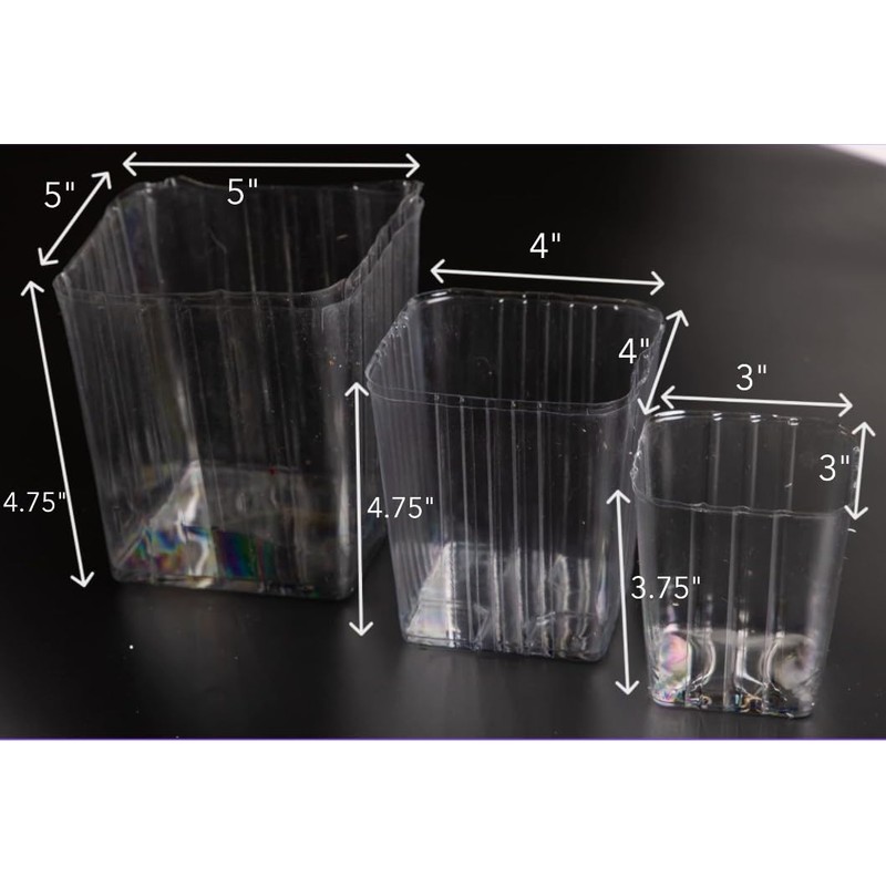 Clear Plastic Liners for Wood Boxes (4”x 4.75”) l Inserts